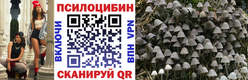 купить наркотик  Химки  Галлюциногенные грибы ЛСД 